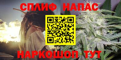 a pvp Гусев