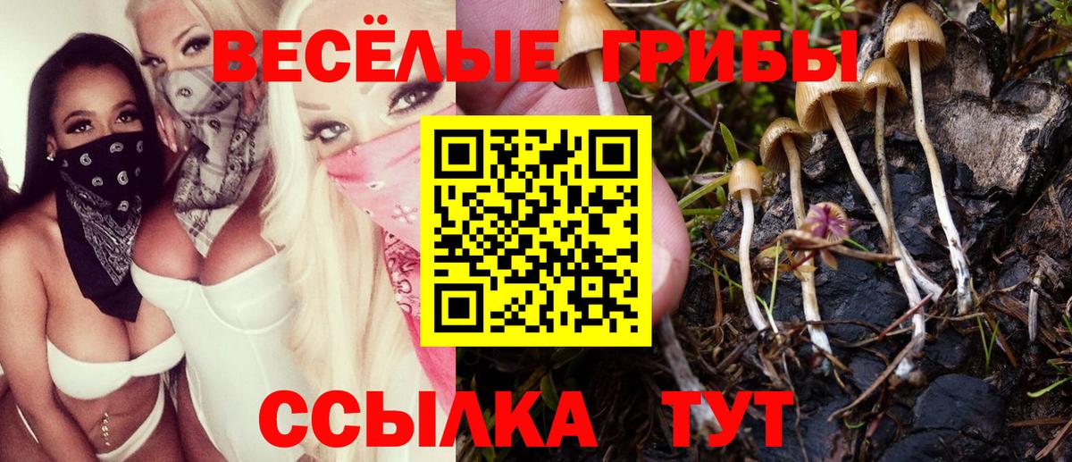 Галлюциногенные грибы Magic Shrooms Кимры