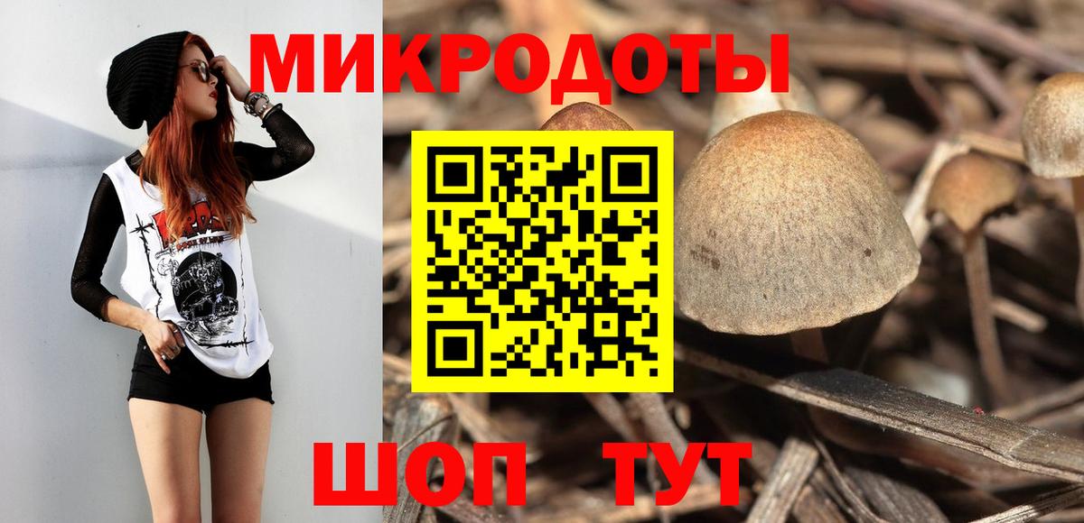 Псилоцибиновые грибы Cubensis  что такое   Кимры  Псилоцибиновые грибы MAGIC MUSHROOMS 