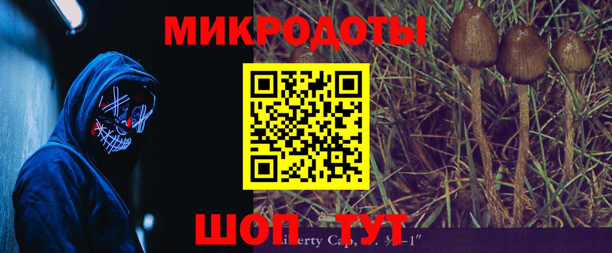 Псилоцибиновые грибы мицелий Кимры